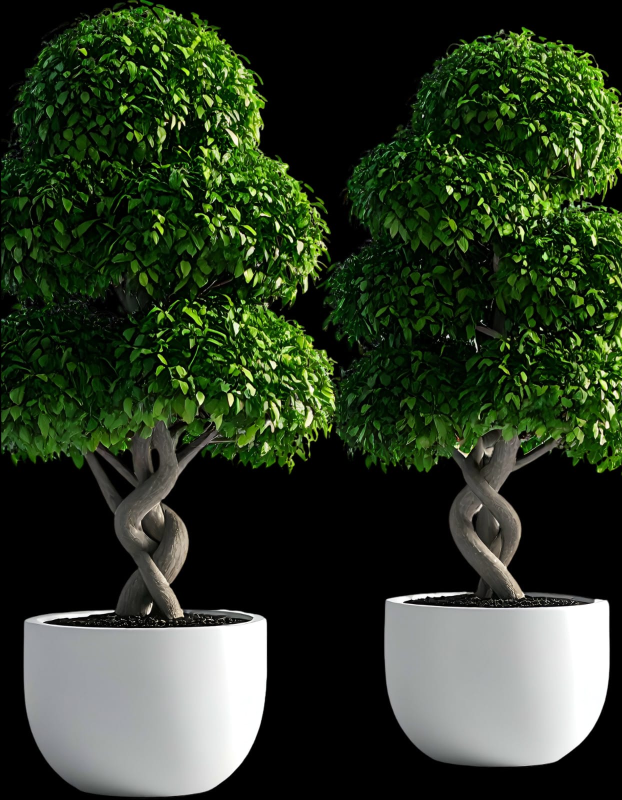 WhatsApp Image 2026-01-23 at 11.02.35 AM (1)