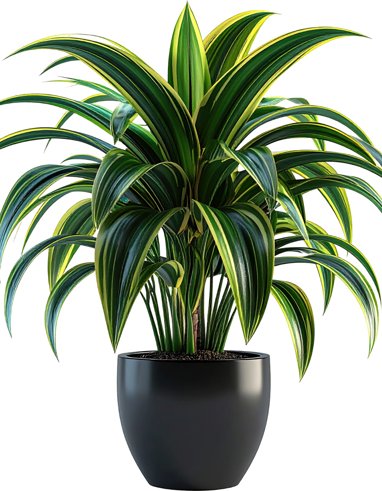 WhatsApp Image 2026-01-23 at 11.02.35 AM (3)